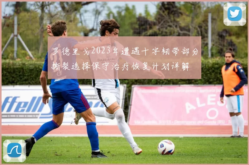 罗德里戈2023年遭遇十字韧带部分撕裂选择保守治疗恢复计划详解
